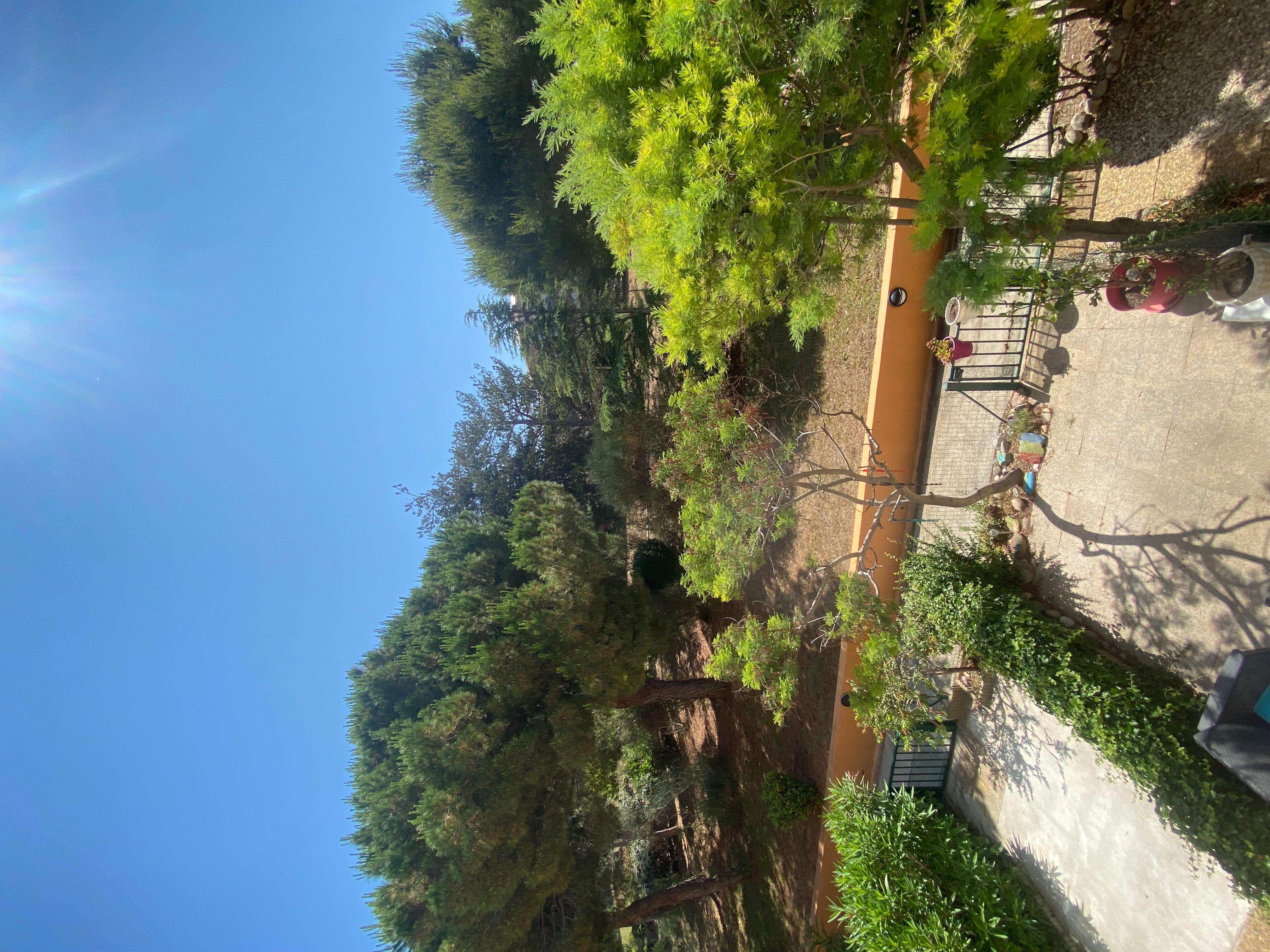 Appartement - SIX-FOURS-LES-PLAGES